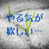 やる気が欲しい時のアロマ